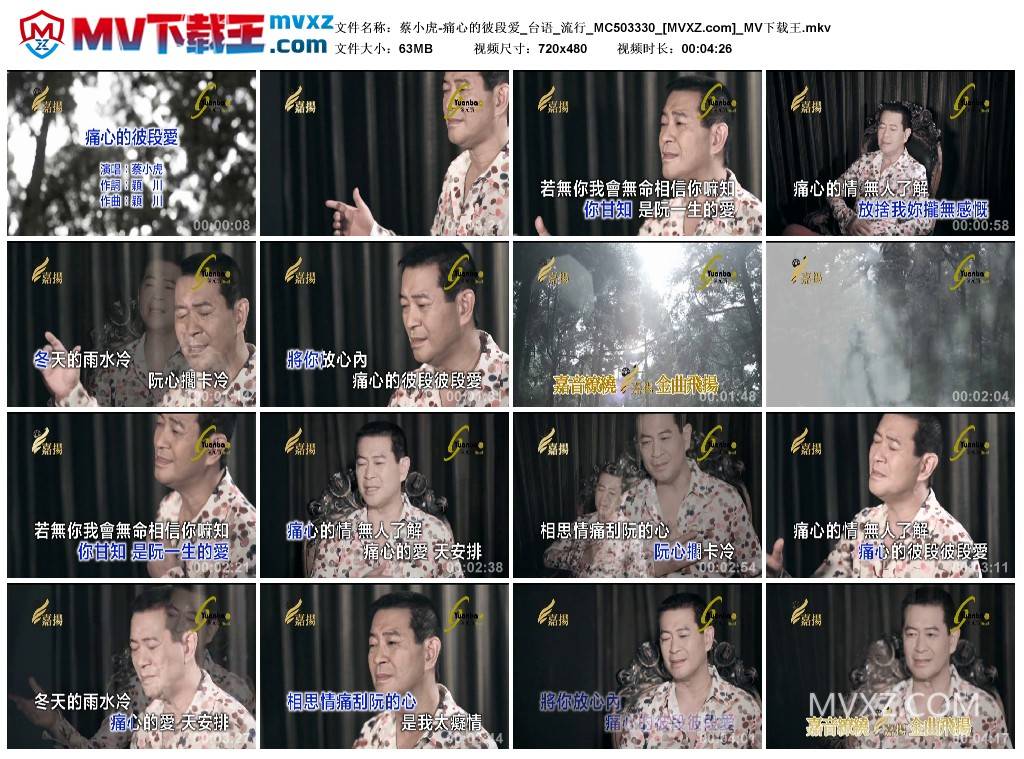蔡小虎-痛心的彼段爱_台语_流行_MC503330